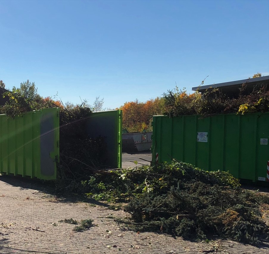 Beispielbild Container mit Baum- und Heckenschnitt