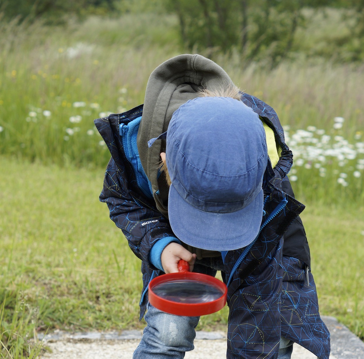 Beispielbild Kind mit Lupe in der Natur