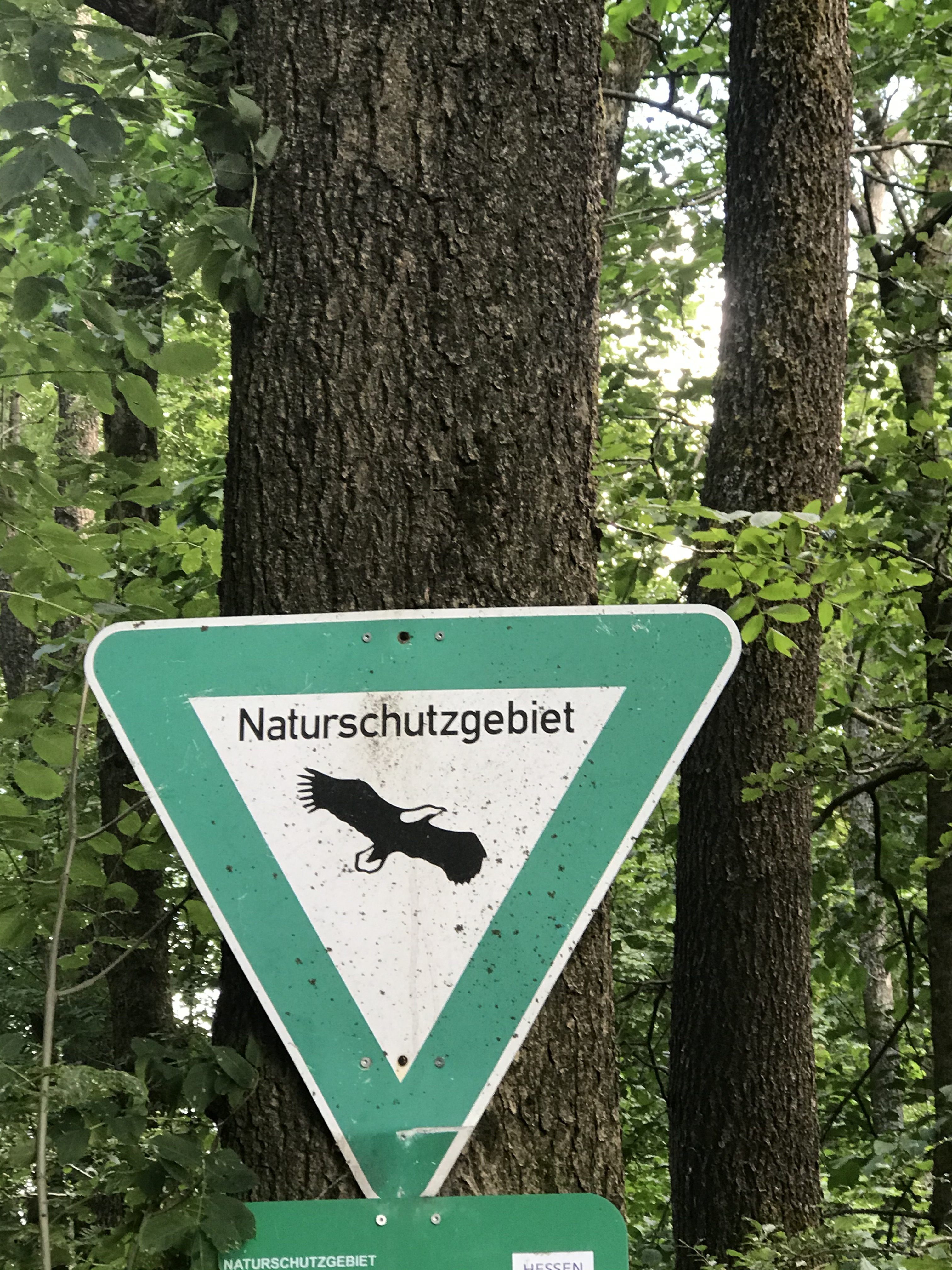 Bild eines Verkehrsschildes zur Kennzeichnung von Naturschutzgebieten Umweltschutz_Naturschutzgebiet.jpg